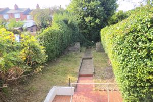 Garden- click for photo gallery